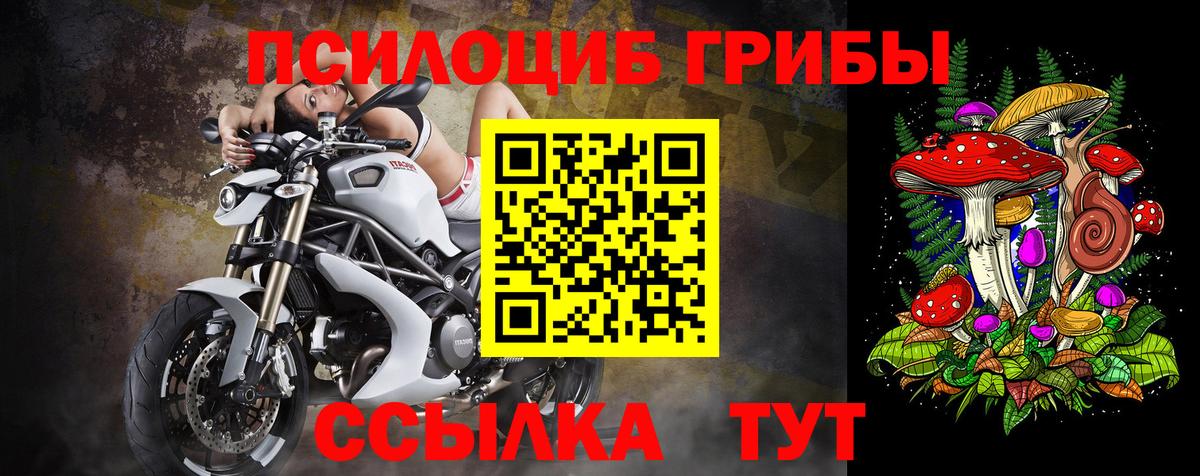 Псилоцибиновые грибы прущие грибы Люберцы