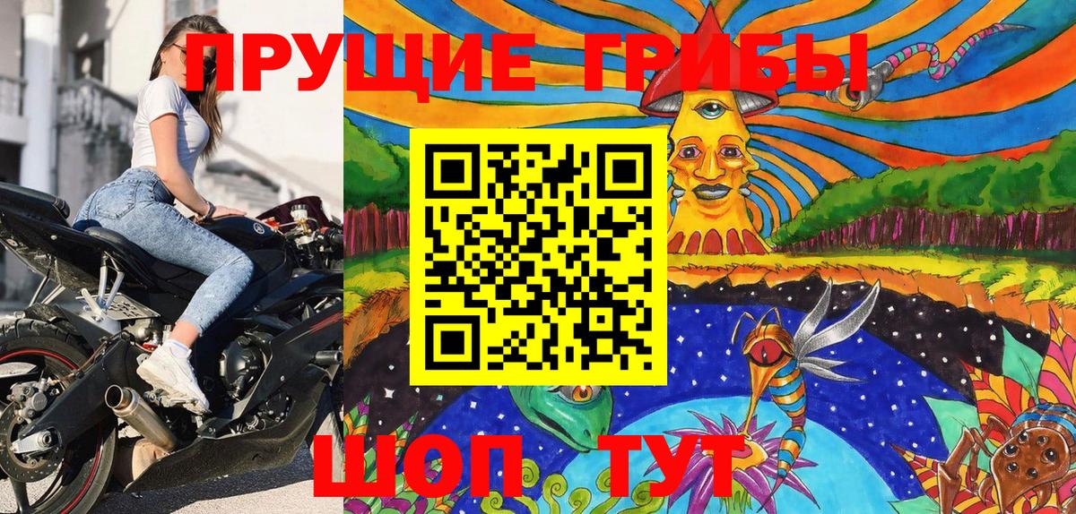 Люберцы  Псилоцибиновые грибы Psilocybe  Вход с VPN 